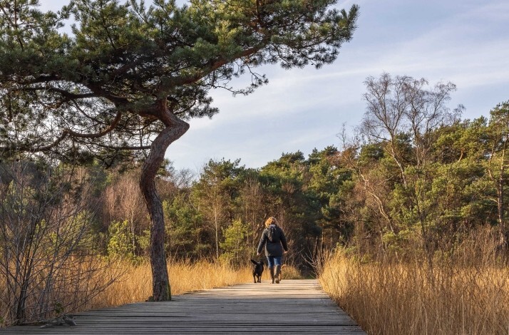 Scenic walk through Twickel woodland path.