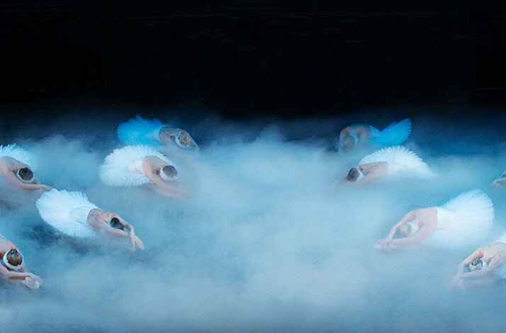 Elegant Swan Lake dancers rest in serene poses surrounded by dreamy fog