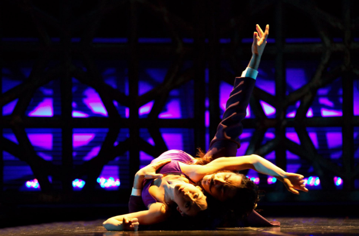 Ballet dancers performing a dramatic pose on stage