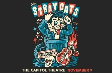 Promotional banner for THE STRAY CATS.