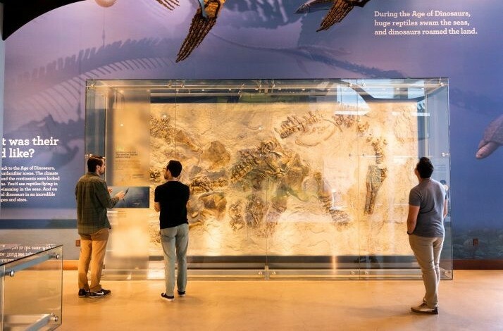 Three men examine fossils at the Natural History Museum of Los Angeles.