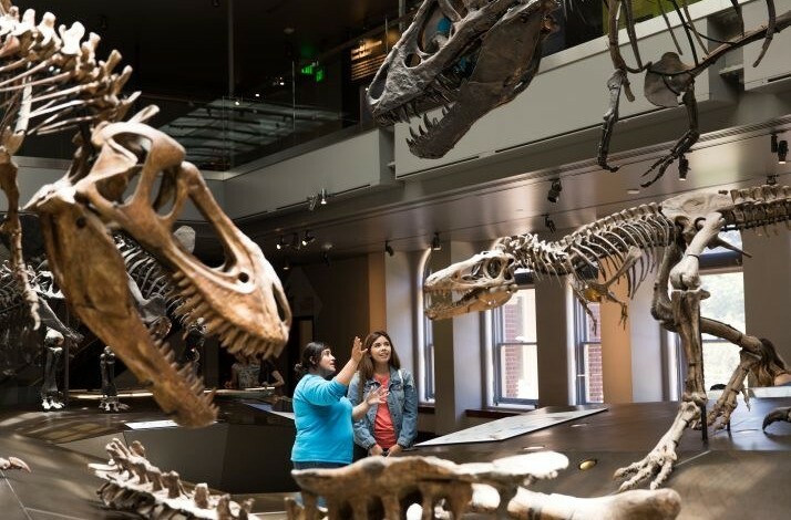 Two women look at a large dinosaur skeleton at the Natural History Museum of Los Angeles.