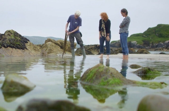 John Fitzgerald pulling seaweed out of the water and showing it to the two tourists during the Atlantic seaweed tour, Ireland.