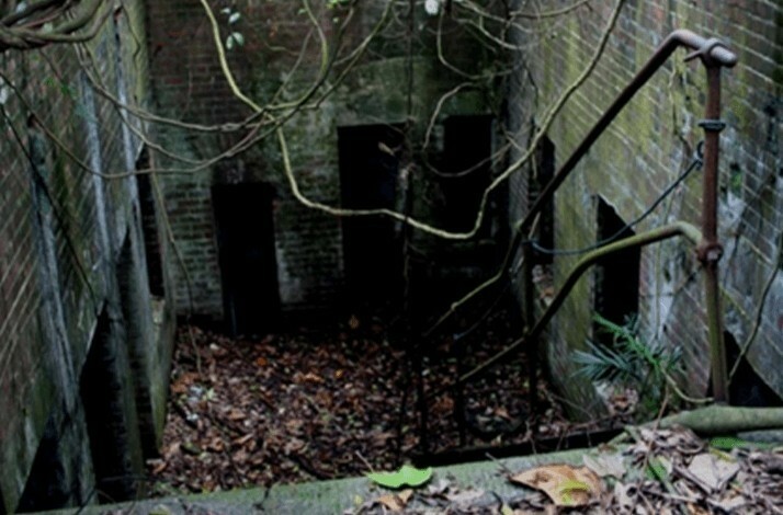 Ruins, surrounded by lush jungle.