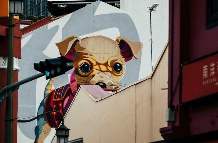 Photo of a large dog captured in Chinatown, Singapore.