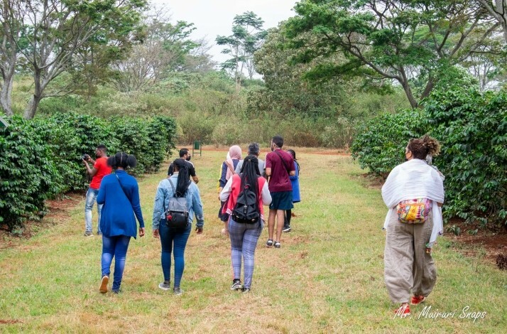 A group of tourists visiting  Fairview Coffee Estate. Photo by Mr. Muiruri Snaps