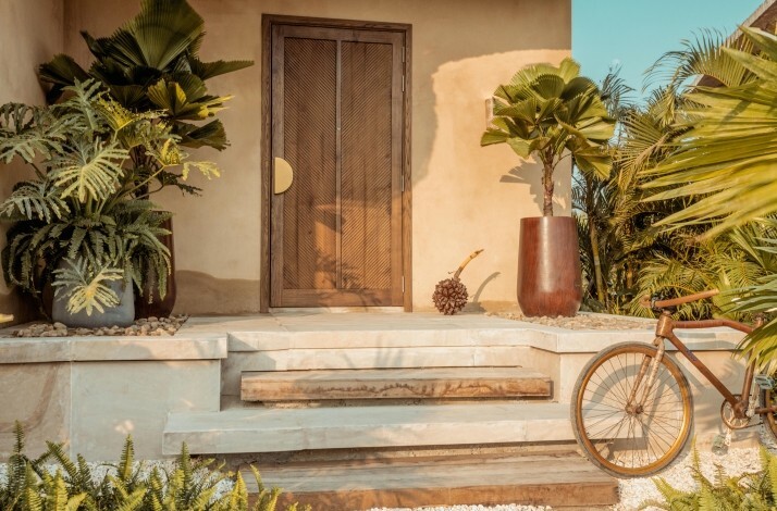 Rustic house entrance with potted plants, wooden door, and a vintage bike