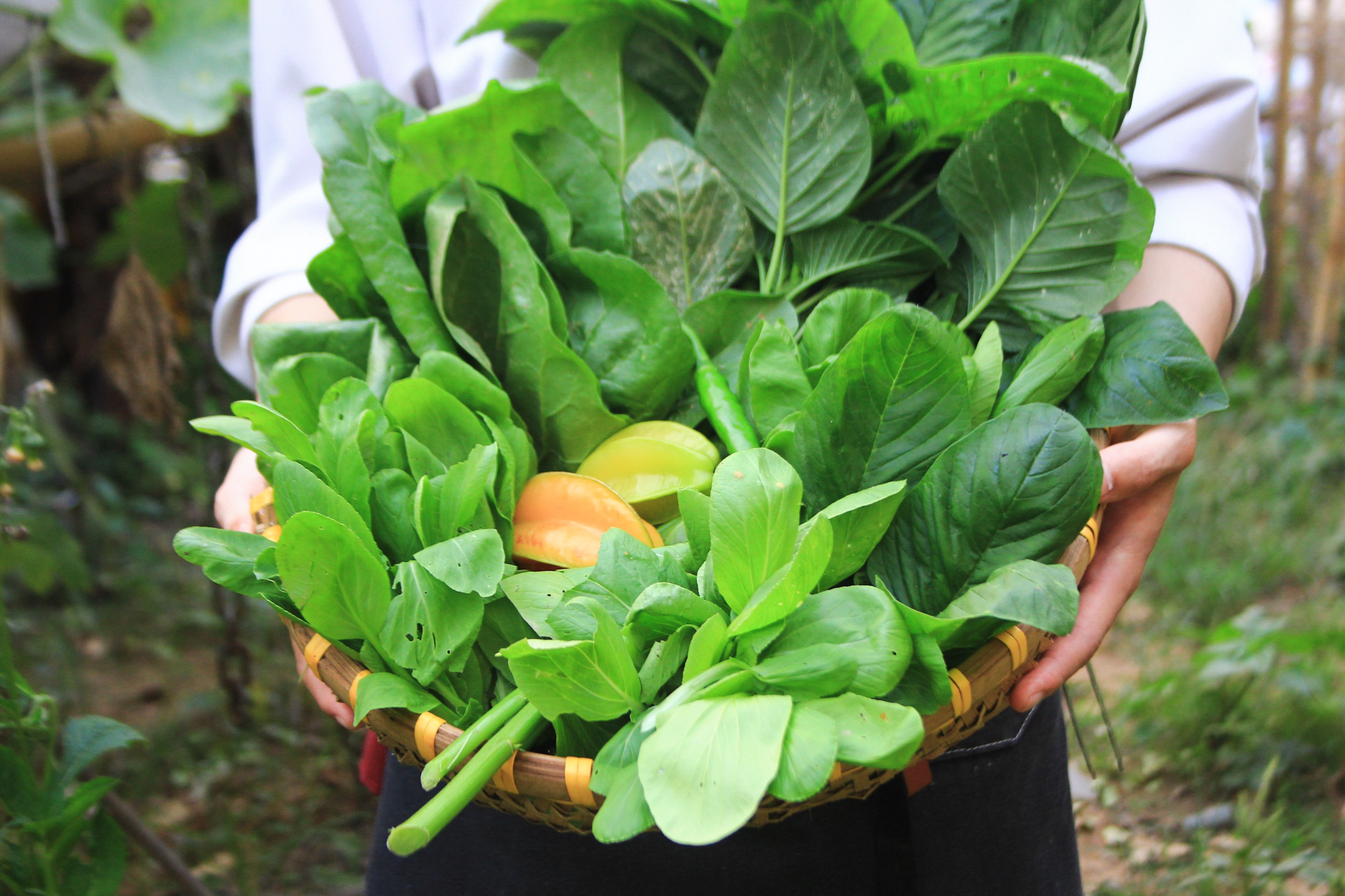 Enjoy a hyper-local dinner at Vietnam's first Michelin Green Star eatery