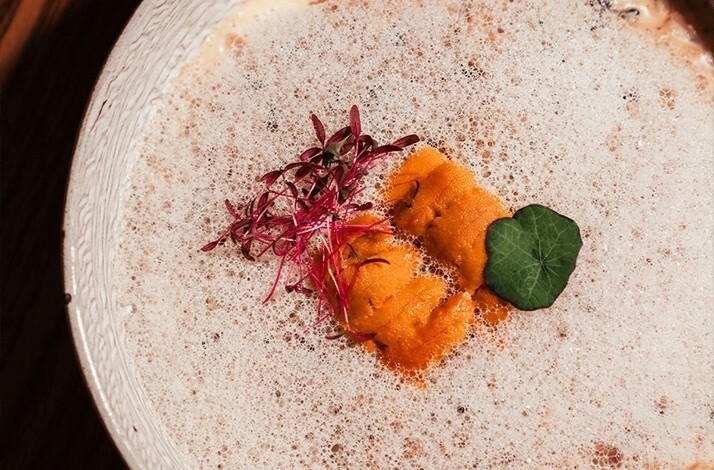 Sea urchin dish garnished with microgreens at VUE restaurant.