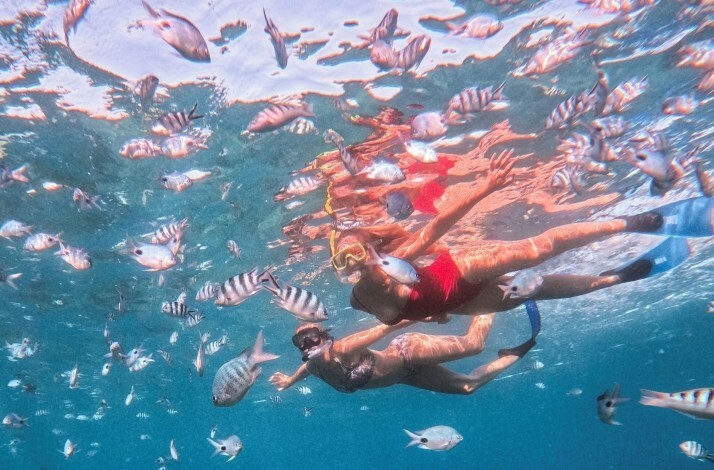 People snorkeling with fish near Crystal Rock, Mauritius.