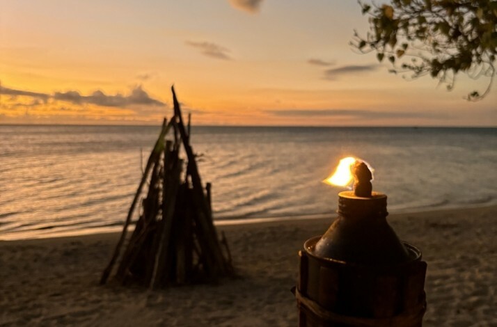 Yet-to-be-lit bonfire on a beach at Île aux Bénitiers, Mauritius.