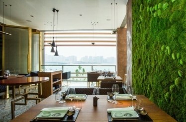 The elegant japanese-themed furniture and seatings next to a stylish grass wall at 99 Sushi Bar Abu Dhabi.