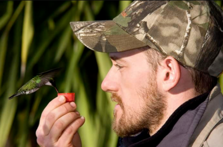 Hummingbird drinks from a small red container held by a person in camouflage.