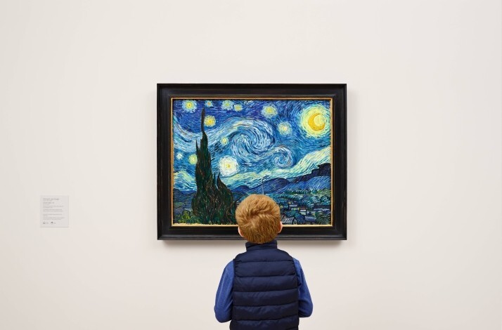 A boy is looking on the Van Gogh painting Starry night at  The Museum of Modern Art (MoMA)