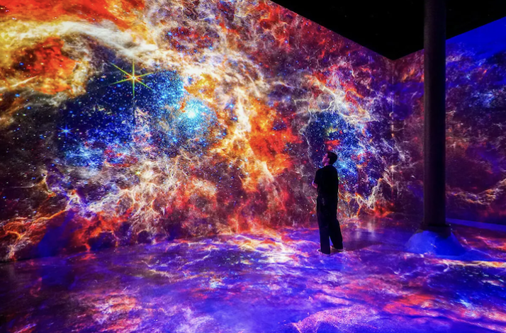 Immersive digital art installation experience at ARTECHOUSE NYC.