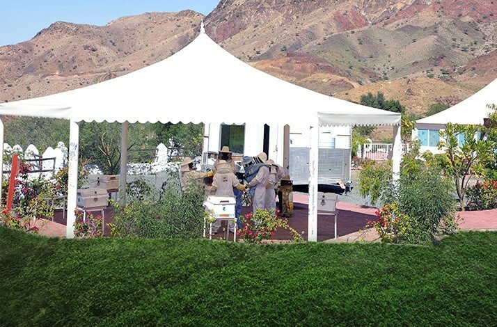 Participants in the garden of Hatta Honeybee Garden for workshop.