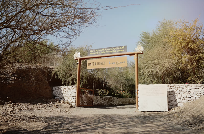 The entrance arch of Hatta Honeybee Garden & Discovery Center.