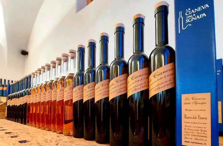 Row of elegant glass bottles of grappa with tan labels, displayed on a wooden shelf