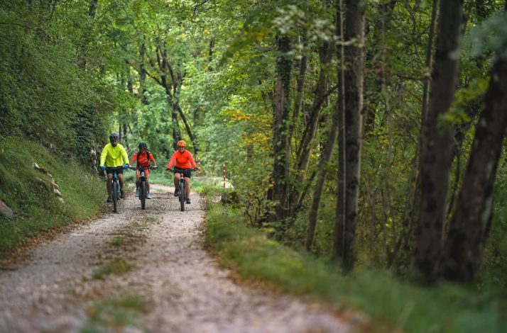 Three people enjoying their bicycle ride on Kvarner hills.