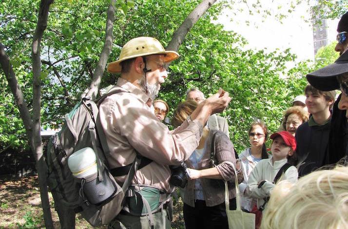 Foraging with the Wildman in Central Park: In New York, New York Foraging with the Wildman in Central Park: In New York, New York (1)