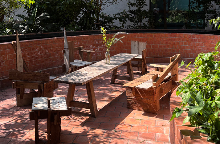 An outdoor seating area with wooden tables and benches in a sunlit garden.