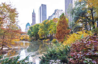 Central Park in New York City during autumn, showcasing the vibrant foliage changing colors around one of the park's ponds.