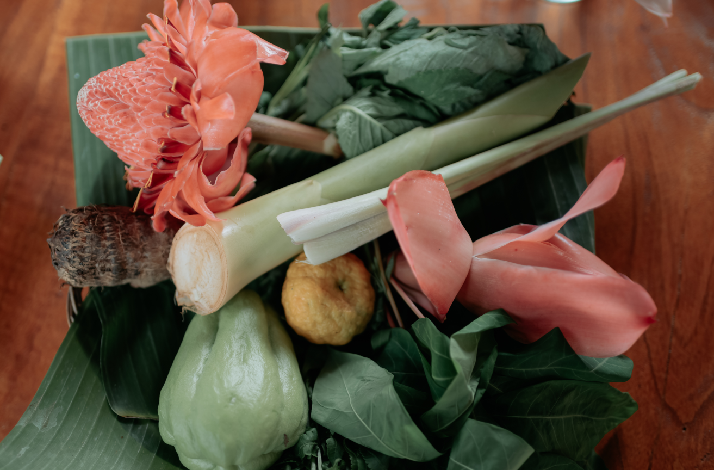 Freshly harvested tropical ingredients, including torch ginger flowers and chayote squash, arranged for a Balinese cooking class in Ubud, Bali.