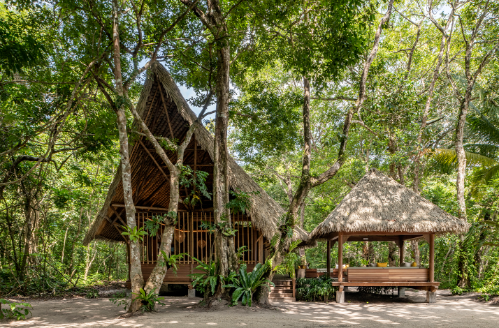 Traditional thatched-roof pavilions at The Datai Langkawi's Nature Centre, hidden within a dense tropical rainforest.