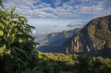 Lush Andean forest landscape with clouds and mountains.