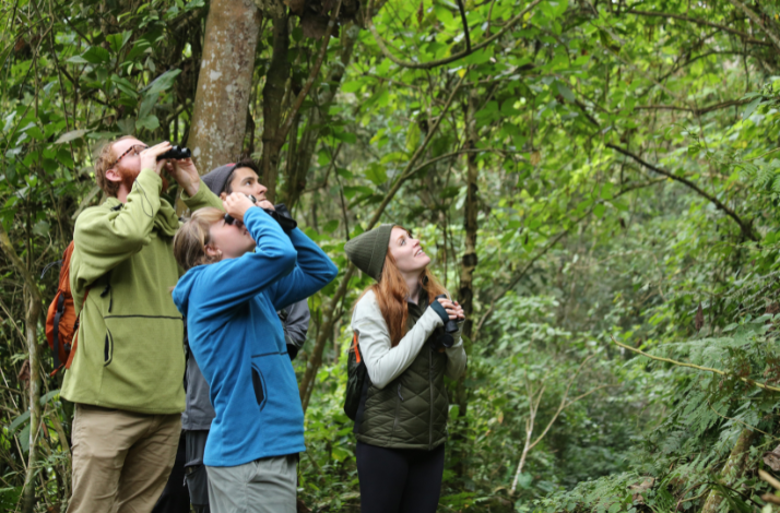 A group of people is birdwatching in dense Andean forest.