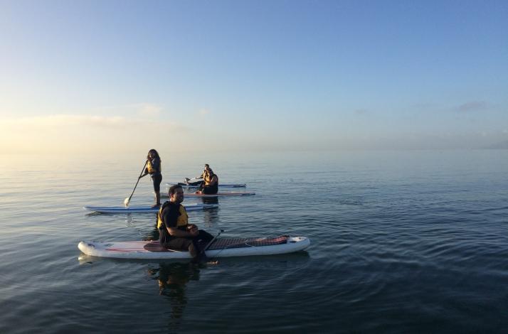 Scenic Stand Up Paddleboard Lesson in the Bay Area: In Alameda, California (1)