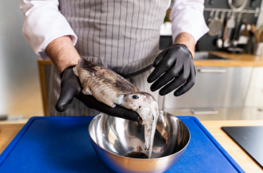 Chef wearing black gloves cleaning fresh cuttlefish over a steel bowl, preparing Dalmatian black risotto ingredients.