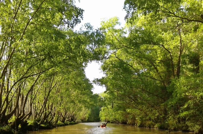 Kayakers paddling along a tranquil, tree-lined waterway in the lush Tigre River Delta.