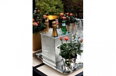 Champagne and Cocktail Reception at the Danko Residence: San Francisco, California