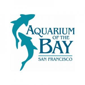 Responsive image Aquarium Of the Bay