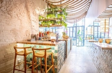 Bright, airy restaurant bar with patterned tile counters, hanging plants, warm pendant lights, and sunlight streaming in from the front windows, at Ma.dé.