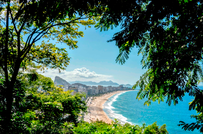 Panoramic view of Rio de Janeiro's coastline, framed by lush tropical trees, with a sandy beach, turquoise ocean, and city skyline stretching along the shore