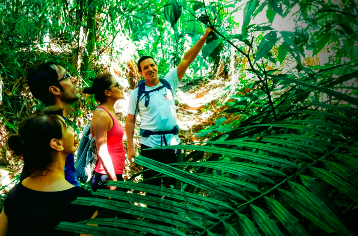 Hikers beside a jungle stream and moss-covered boulders in Rio de Janeiro.