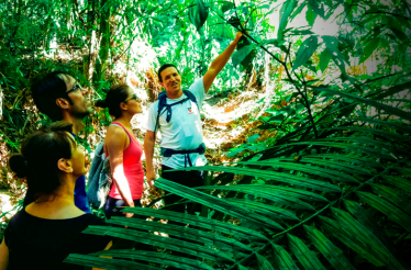 Hikers beside a jungle stream and moss-covered boulders in Rio de Janeiro.