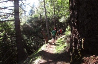 Exclusive Fitness Trail Experience at Armstrong Woods: Guerneville, California