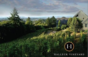 An Afternoon at Halleck Vineyard: Wine Exploration and Gourmet Lunch with the Winery's Founders: Sebastopol, California