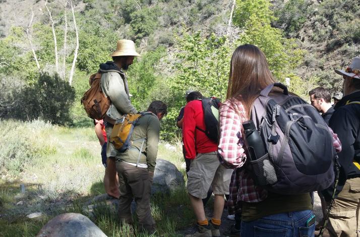 Intro to Foraging in the Mountains of SoCal: In Ojai, California (1)