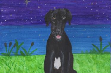 Create and Publish a Personalized Children's Book Ghostwritten by Author Edward Vilga: New York, New York