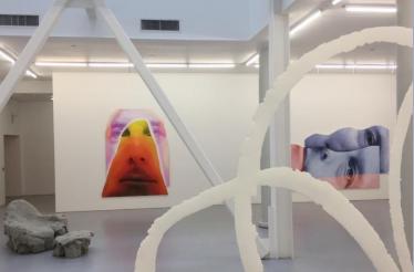 Gallery Tour Led by an Art Historian: San Francisco, California