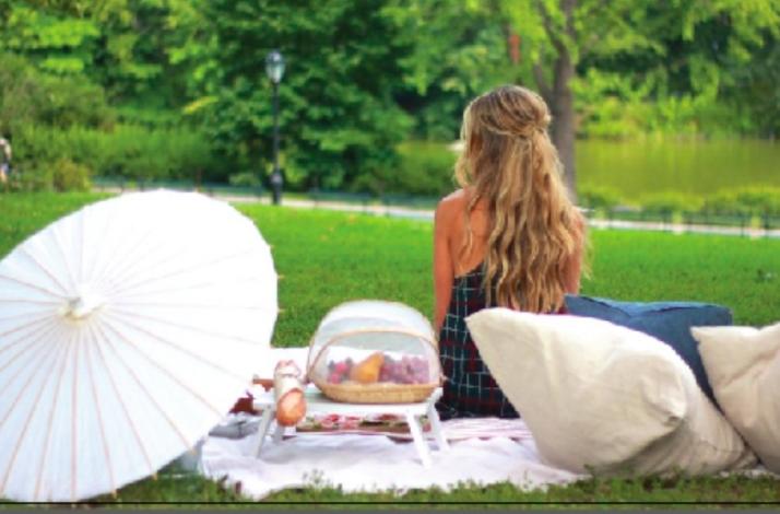 Perfect Picnic Experience in Central Park NYC: In New York, New York (1)