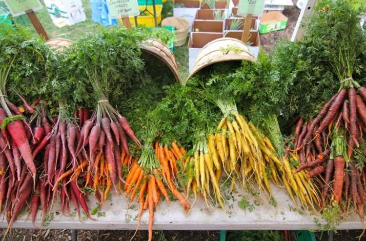 Private Tour of the Green City Market and Cooking Class with a Chef and Registered Dietician : In Chicago, Illinois (1)