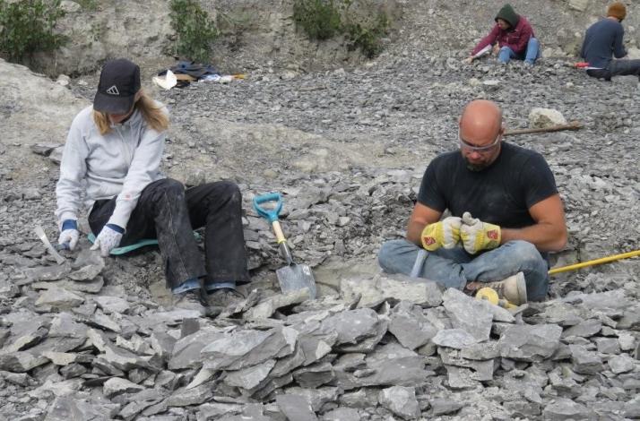 Step Back in Time: Private Fossil Hunt and Nature Preserve Tour with a Paleontologist: In Buffalo, New York Step Back in Time: Private Fossil Hunt and Nature Preserve Tour with a Paleontologist: In Buffalo, New York (1)