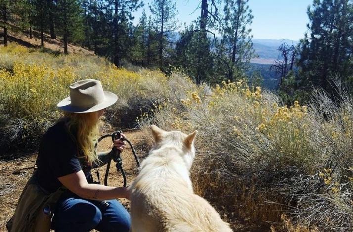 Guided Hike with Ambassador Wolves: In Frazier Park, California (1)