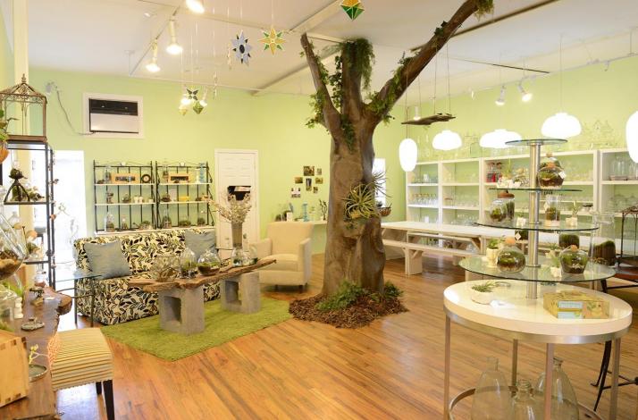 Moss Terrarium Workshop with Twig Terrariums: In Brooklyn, New York Moss Terrarium Workshop with Twig Terrariums: In Brooklyn, New York (1)
