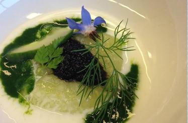 Multi-Course Meal: New York, New York